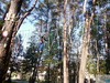 Zobacz Zdjęcie Highslide JS